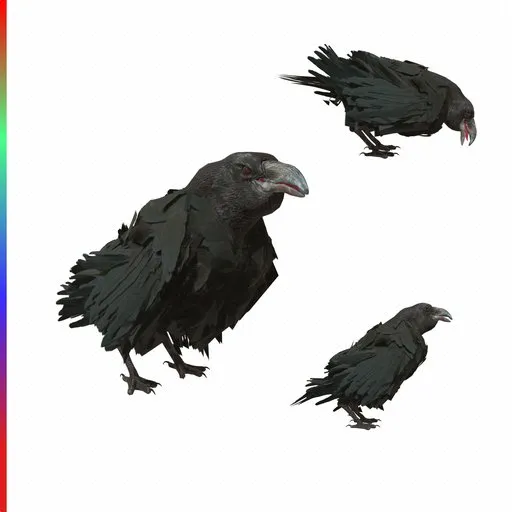 crow
