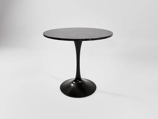 Modesto Tulip Fi80