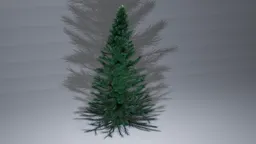 Fir Tree