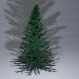 Fir Tree