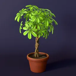 Stylized schefflera houseplant