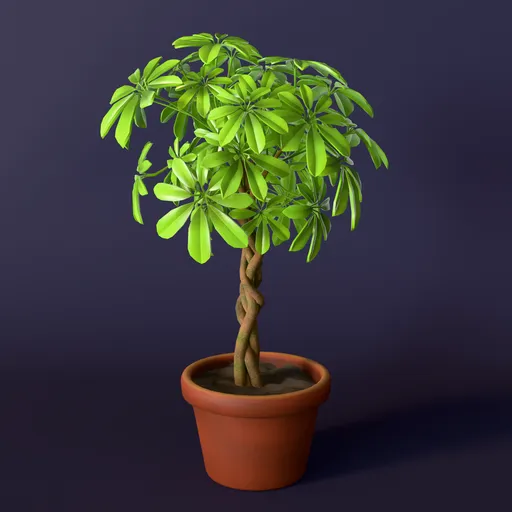 Stylized schefflera houseplant