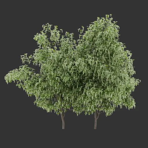 Flowering Bush Plant Collection