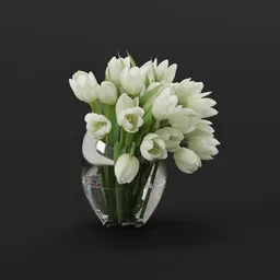 White Tulip