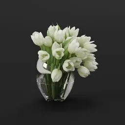 White Tulip
