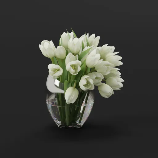 White Tulip