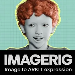ImageRig - Image To Every Facial Expression