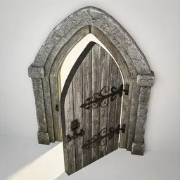 Medieval Gothic Door 17
