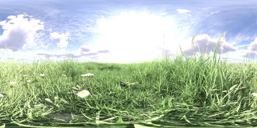 Bluesky green grass