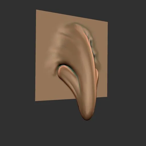 ER Nose Brush 24