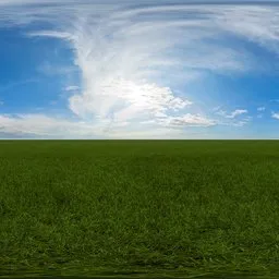 Green grass cloudy blue sky pure sky