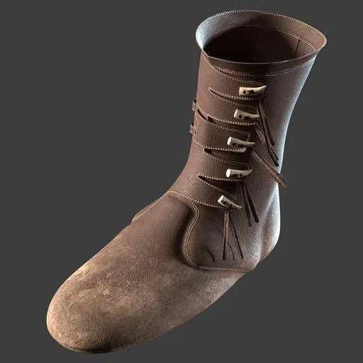 Shoe
