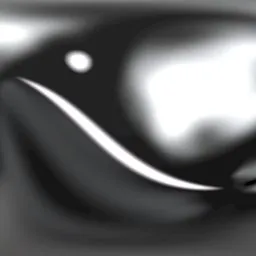 Studio Black and White