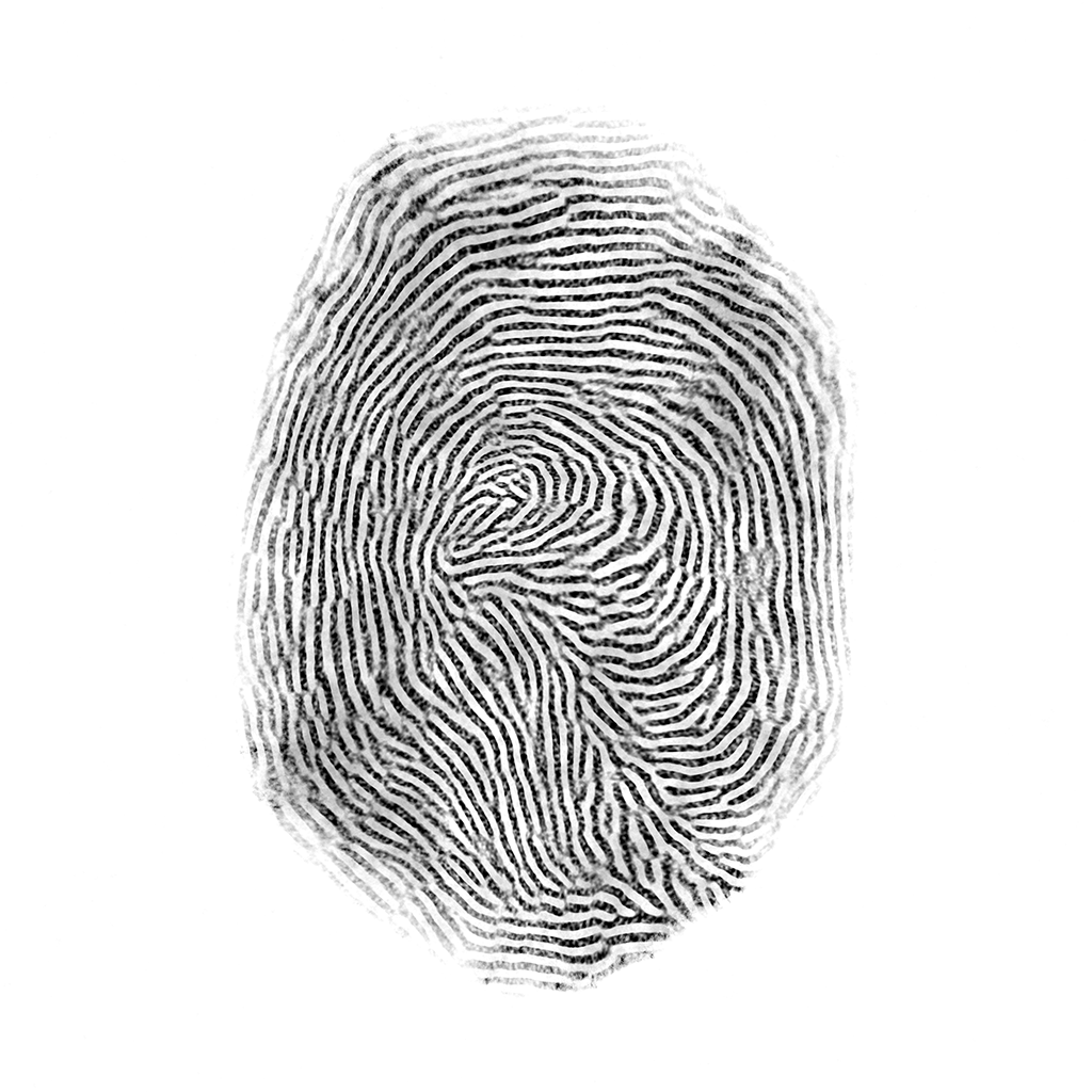 Finger Print Brush 01 FREE human brushes BlenderKit