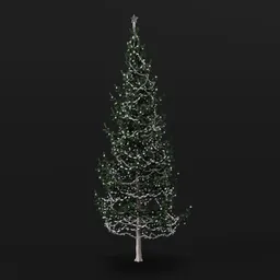 Christmas Tree Green White Elder