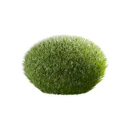 Decorative Speherical Bush