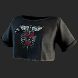 Distressed Vintage Rock Graphic Crop Top
