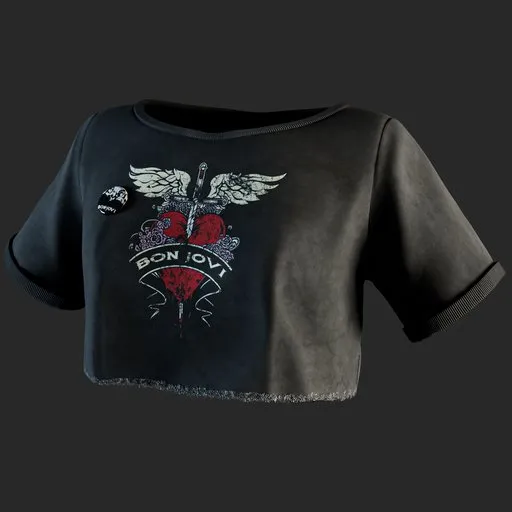 Distressed Vintage Rock Graphic Crop Top