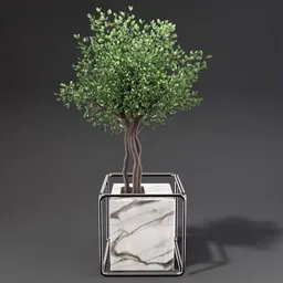 "Indoor nature 3D model: Benjamin shrub flower box with stone box and steel frame for corner design, rendered using Blender 3D with light displacement and Redshift. The Weeping fig tree adds a touch of elegance to any room."