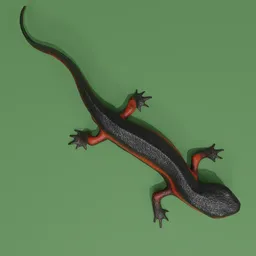 "Rigged Okinawa Sword-Tailed Newt 3D Model for Blender 3D - Procedurally Textured, Inspired by Tytus Czyżewski, and Japan's Threatened Amphibians."