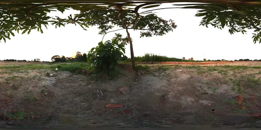 Tree and Urban Horizon – HDRI