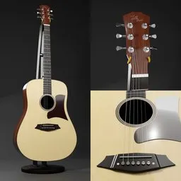LT Acustic Guitar