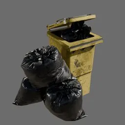 Gabage bin and bags