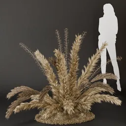 SJ- Pampas Serene Vibes Bush