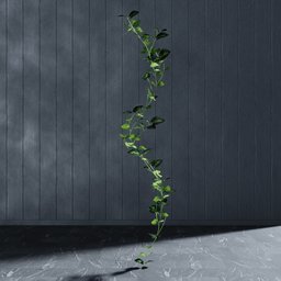 "Artificial garland Potos 3D model for Blender 3D. This nature-indoor 3D model features an ivy garland growing out of a vase, perfect for minimalistic art projects. Editable stem with scaled geometry nodes created using the Bagapie addon."