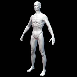"Male Base Mesh - Skinny 3D model for reference or customization in Blender 3D software. A pale, skinned man with a thin skeleton and glass torso stands in a gray environment, perfect for creating posthuman figures. No shirt or textures included. Rate and manipulate poly count with modifier for optimal results."