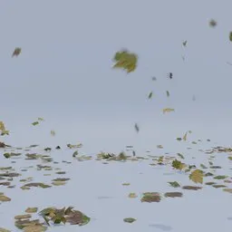 Leaves simulation