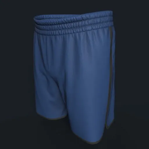 Blue Men's Sports Shorts
