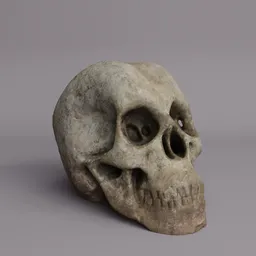 Aged & Dirty Skull