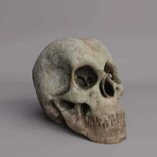Aged & Dirty Skull