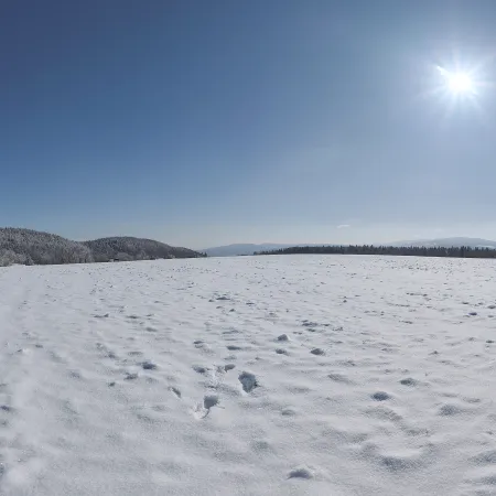 Horn-koppe Snow