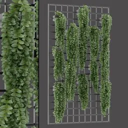 Wall Mounted Vine Garden