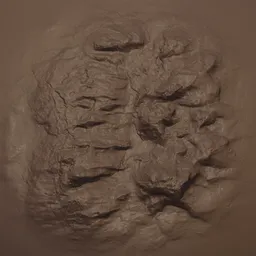 Rock Rugged Brush