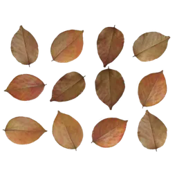 Realistic 3D-rendered autumn leaves, perfect for Blender nature scenes.