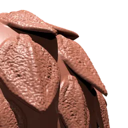 Single Overlapping Dragon Scale