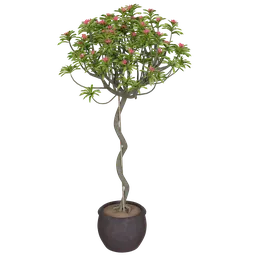 "Nature-inspired 3D model of a potted pink flower plant, perfect for large rooms and outdoor spaces, created with ultra-optimized polygons and realistic lighting in Blender 3D."