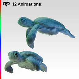 Baby Turtle Animated