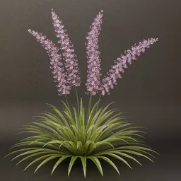 SJ-Twilight Enchant Bush