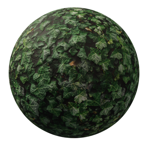 Ivy dark