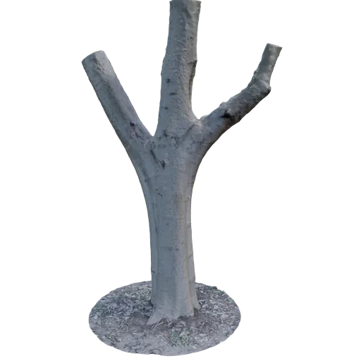 Tree trunk split scan