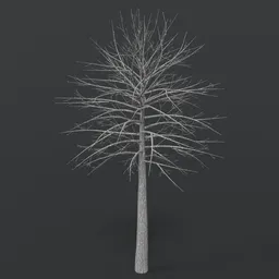 Emtpy Tree