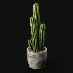 Concrete Pot Cactus
