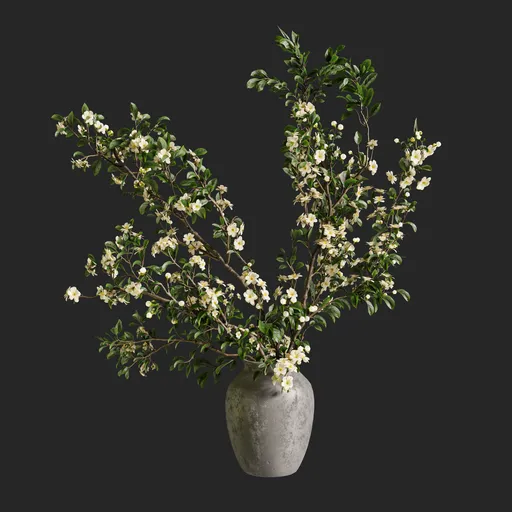 White blossom