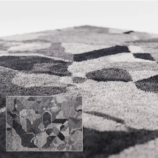 Modern Carpet