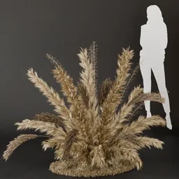 SJ- Pampas Timeless Style Bush