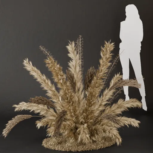 SJ- Pampas Timeless Style Bush